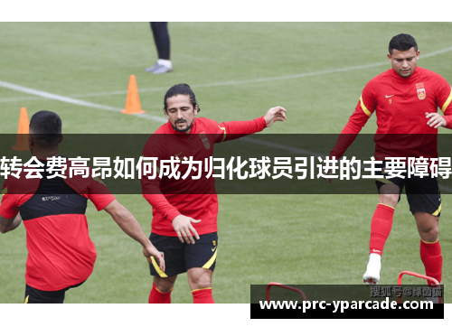 转会费高昂如何成为归化球员引进的主要障碍