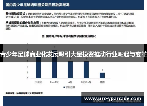 青少年足球商业化发展吸引大量投资推动行业崛起与变革
