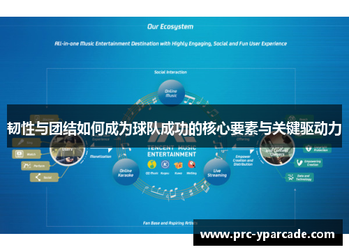 韧性与团结如何成为球队成功的核心要素与关键驱动力